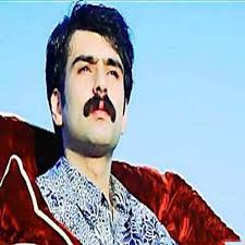 حمید حمیدی ماردین